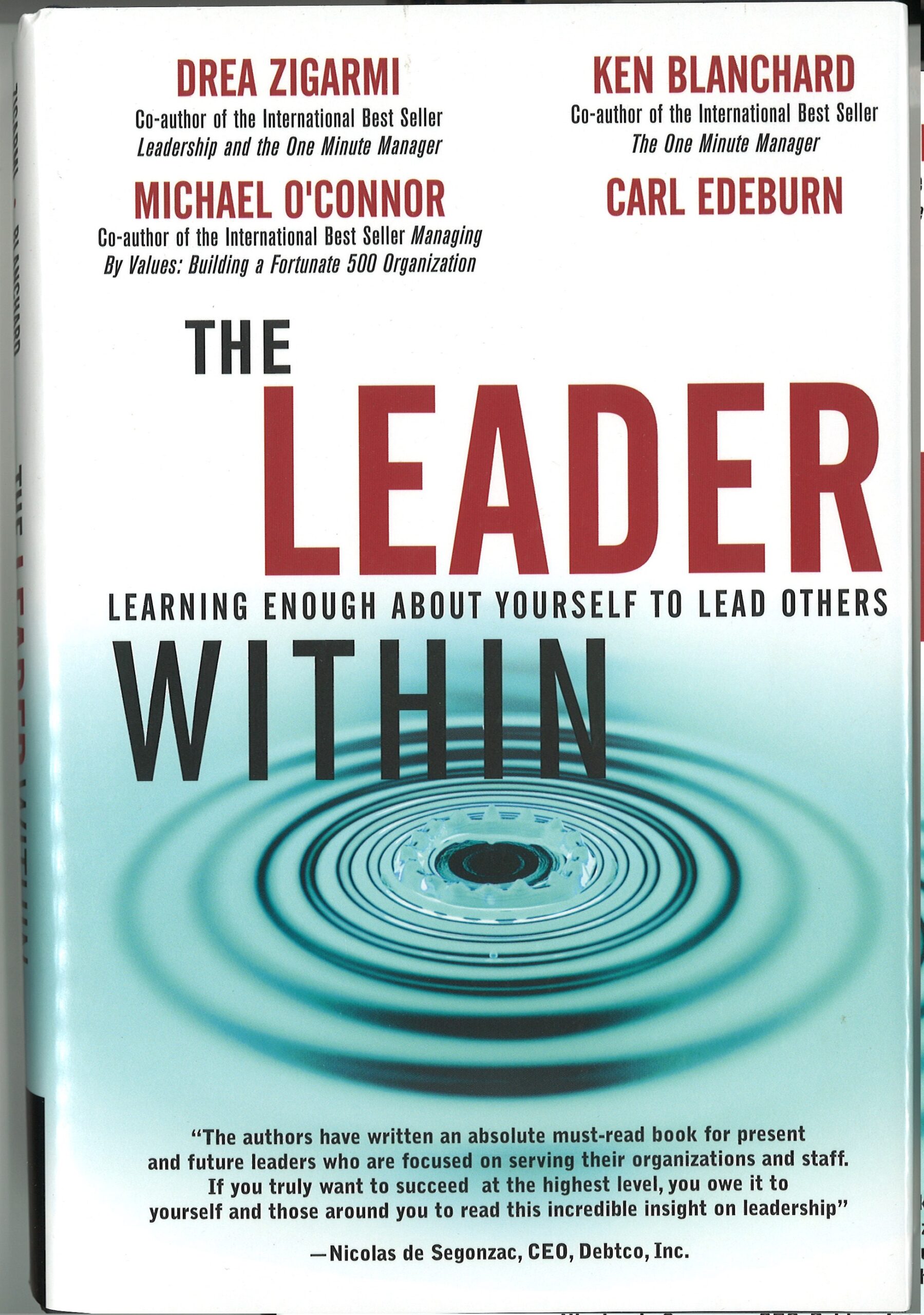 image of the leader within book cover